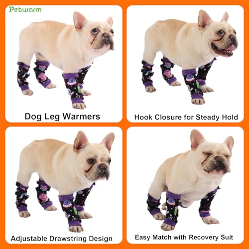 Essentiels de récupération pour animaux PetWarm : manchons de compression et genouillères
