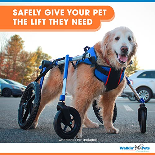 Lift Combo Front Dog Harness For Mobility | Helps Dogs With Arthritis, Senior Dogs And Pets Recovering From Surgery #TOP1