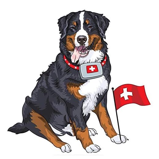 WYFIIIYY Hund med första hjälpen-kit bilklistermärke motorcykel repor dekorativa klistermärken (färg: 1)