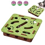 Interactive Cat Puzzle Toy