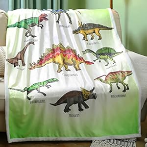 Dinosaur Blanket for Boys Soft Dino Gift for Dinosaur Lovers Throw Blanket with Dinosaurs on It Cozy Fluffy Dinosaur Gifts for Toddler Kids (Dinosaur1,50″ X 60″)