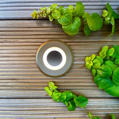 Éclairage de jardin LED LightsOn Lynx Decklight Bronze avec système 12V blanc chaud