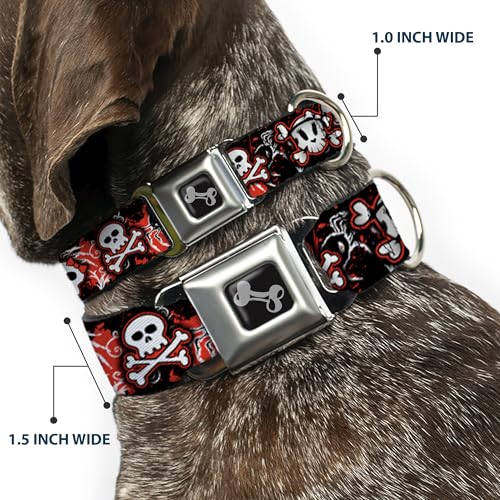 Cinturón de seguridad para perro Buckle-Down DC-W30747-M protege a tu amigo 3