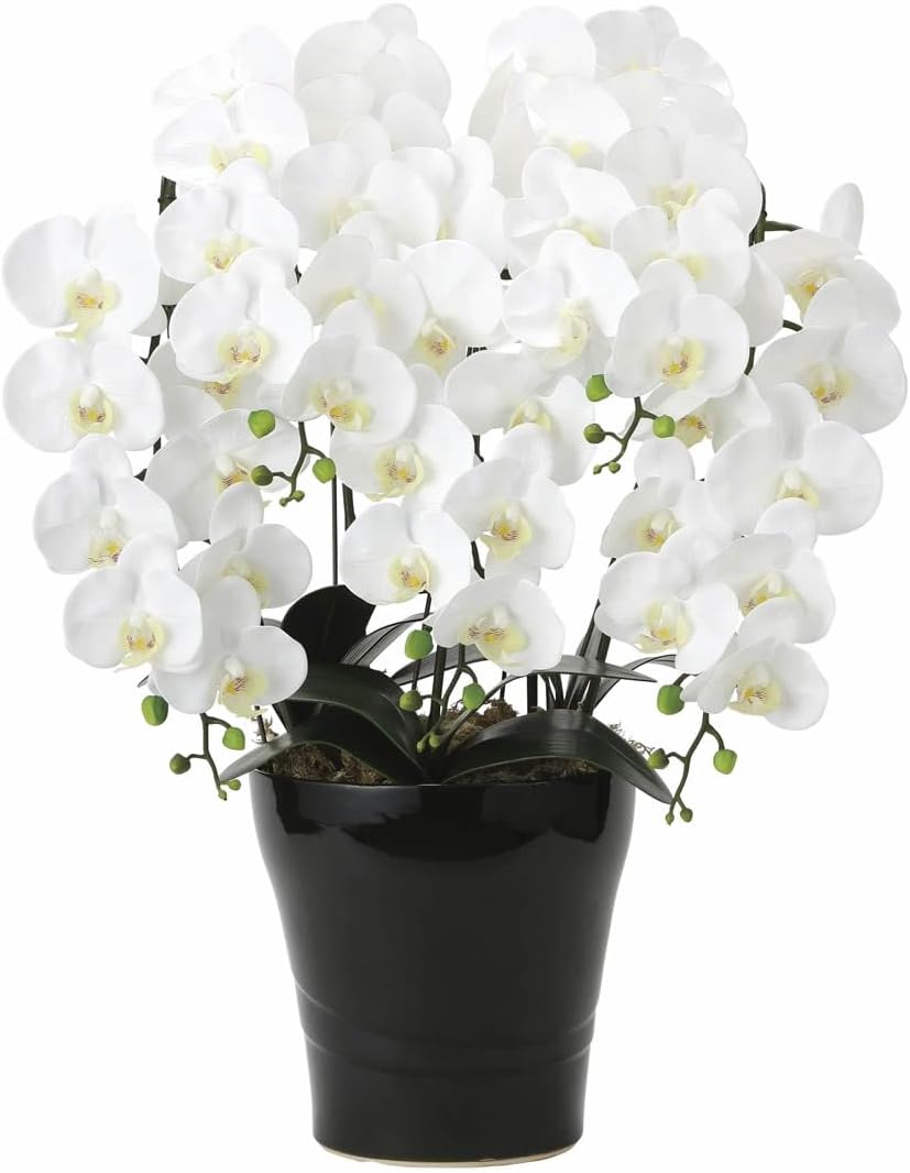 光の楽園 フェイクグリーン 造花 フレッシュ胡蝶蘭5本立W 2044P220