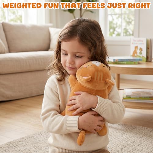 Image of TOYSYM Weighted Stuffed Animals Cat, Orange Cat Plush with Weighted Beads, Cute Cat Plushie Pillow Gifts for Adults Kids Boys Girls 9.8inch