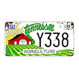 Panguru Embossed License Plate Replica, Year 1990's - 2000's, Retro Vintage Style Prop Vanity Car...