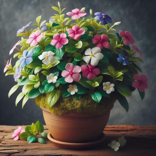 Image of Low Maintenance Hybrid Flower Seeds Combo Pack- All Year Flower Seeds Supply (7 VARIETY WEST INDIA ALL YEAR)