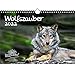 Wolfszauber Calendrier 2022 Format A4 Motif loup et loups Coffret cadeau Contenu : 1 calendrier, 1 carte de vœux de Noël et 1 carte de vœux (3 pièces au total)