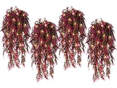 Fuchsia Laven With Lights