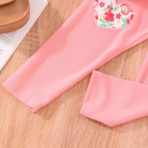 Image of Little Girls Clothes Sets - Cute Sweatshirts Top Shirt & Leggings 2 Piece Kids Fall Winter Outfits Toddler Clothing