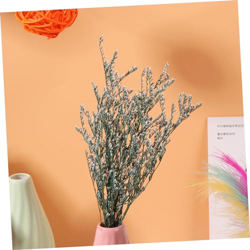Ramo pequeño de flores secas Gypsophila para decoración miniatura 7