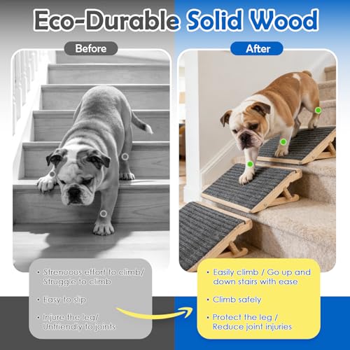 Rampe pour chien pour soulager les articulations avec tapis