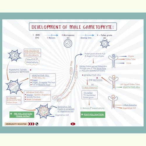 Image of PW NEET Biology Immunity Booster Class 12 By Dr. Akanksha Agarwal (Gurumaa) For 2026 Exam | Handwritten Notes | NCERT Based Concepts, PYQs, Tips, Tricks, Flowcharts, Mind Maps & Quick Revision