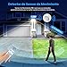 Imagen de Luz Solar con Sensor de Movimiento