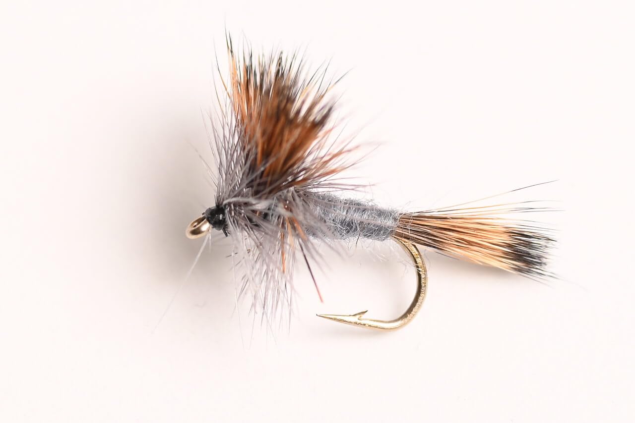 Gray Wulff Dry Fly, 6-Pack (12#)
