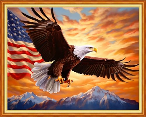 Image of Joyhoor Cross Stitch Kits for Beginners Stamped Cross-Stitch Supplies Needlework preprint Embroidery Kits for Adults DIY Needlepoint Kits Embroidery Patterns 11CT-Flag Eagle 16x20 inchs