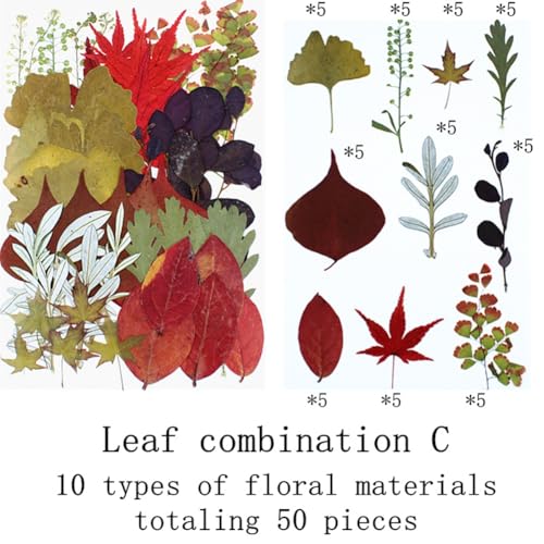 50 hojas y flores secas prensadas naturales kit artesanal miniatura 2