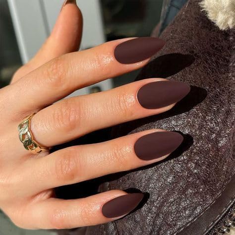 Set Of 14Pc, Press-On, Nail Extensions for Women, Matte Brown Short Almond Shape Press On Nails With Free Glue Kit-image-29