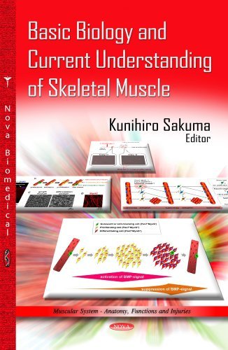  [(Basic Biology & Current Understanding of Skeletal Muscle)] [ Edited by Kunihiro Sakuma ] [September, 2013]