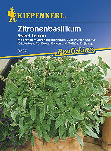Preisvergleich Produktbild Basilikum Zitronenbasilikum Sweet Lemon