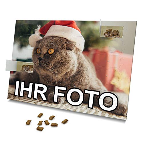 Printplanet Foto-Adventskalender – Katzen