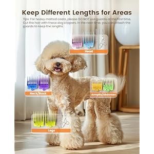 oneisall Dog Grooming Clippers for Thick Heavy Coats,2 Speed Cordless Hair Trimmers with Metal Blade Grooming Kit for Pets Dogs Cats Animals oneisall Dog Grooming Clippers for Thick Heavy Coats,2 Speed Cordless Hair Trimmers with Metal Blade Grooming Kit for Pets Dogs Cats Animals
