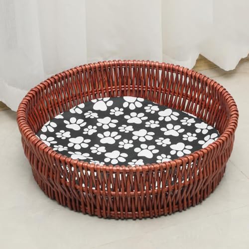 Lxbh ybg\t@ ^ ҂ ʔN^Cv  ȉ~^ ʔN^Cv ȍ\ NbV _炩 ʋC xe ^/Lp \ O\ NbVt (ÐԐF,XLA15kgȓKp)