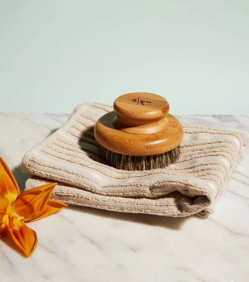 Kate McLeod The Dry Brush