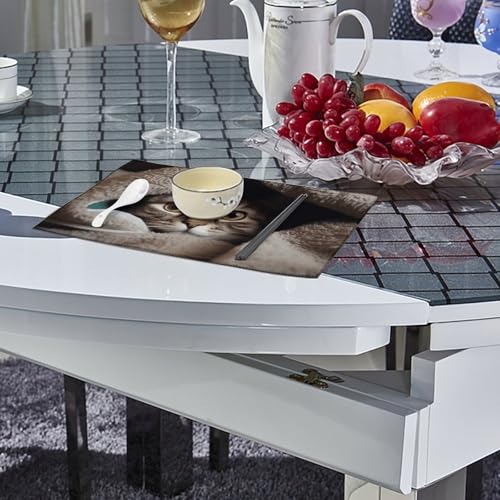 Set de table chat résistant chaleur pour en finir avec les plis
