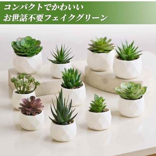 CAPASTEC フェイクグリーン インテリアグリーン 多肉植物 人工 お世話不要 卓上 ミニ 鉢植え デコレーション 装飾 かわいい 玄関 デスク バスルーム キッチン Type 3 [2]