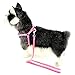ZUNEA Nylon Pet Puppy Small Toy Dog Polka Dots Grip Harness Leash Set Adjustable Durable Step in Walking Training Leads 8