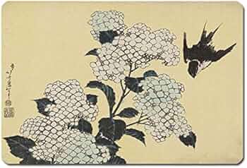 51PE1rV9GQL._AC_UF350,