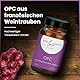 OPC mit 4 mg Astaxanthin pro Kapsel und pflanzliches Vitamin C - Hochdosiert mit 600 mg Traubenkern Extrakt pro Kapsel aus hochwertigen französischen Weintrauben. Kapseln im Glas.Vegan