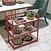 Hairdresser Trolley, 3 Tiers Kitchen Utility Cart,Beauty Salon Trolley,Heavy Duty Industrial Serving Cart,for Kitchen,Beauty,Restaurant,Bar(Red-c)