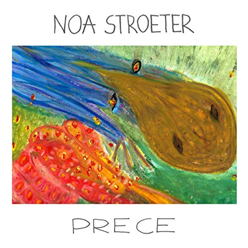 Noa Stroeter
