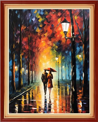 Image of Dimxvean Stamped Cross Stitch Kits,Cross Stitch Kits for Adults Beginners,Embroidery Kits Full Range of Cross Stitch Stamped Kits Needlepoint Kits Cross Stitch Patterns-Strolling rainynight 16x20 inch