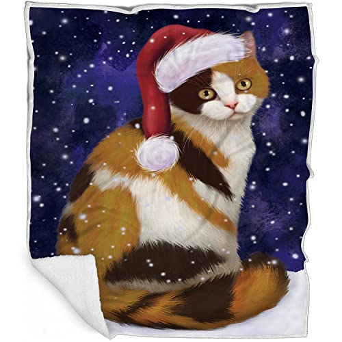 Doggie of the Day British Shorthair Cat Blanket - Let it Snow - Super Soft & Warm Pet Theme for Sofa or Bed, Warm Fleece, Sherpa or Woven Material, BLNKT162206 (30x40 Fleece)