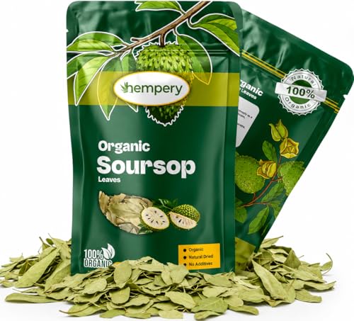 150g Organic Soursop Leaves (300+ Leaves) 100% Natural and Organic Soursop Leaf - Premium Quality Sour SOP Leaves Without Pesticides (300+ Leaves - 150 Grams)