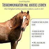 Tierkommunikation mal anders lernen: Die Fähigkeit schlummert in jedem, auch in Dir! - Sarah Rogalski Sarah Rogalski Verlag: ABOD Verlag 