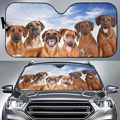 Pare-soleil voiture pliable universel protection pare-brise intérieur SUV