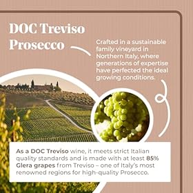 Buy TRACES Prosecco – Enjoy a Naturally Lighter, Lower Calorie, Sugar-Free Sparkle – DrinkWell