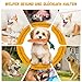 SUNFATT 10 Stück Hundespielzeug Set für Welpen & kleine Hunde – Robustes Welpenspielzeug aus 100% Baumwolle & Plüsch – Hundespielzeug Seil & Quietschend zur Zahnpflege – Waschbare Erstausstattung