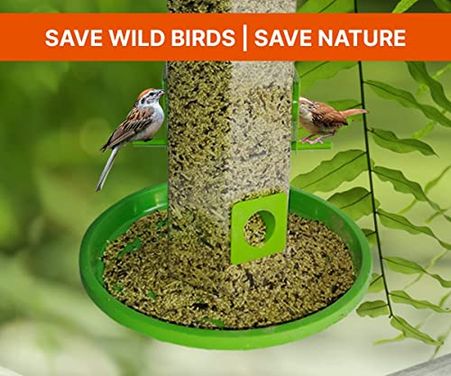 Image of Large Bird Feeder I Hanging Bird Feeder for Balcony I Outdoor Bird Food Feeder I 900 Capacity I Premium Hard Plastic Weatherproof, Attracting for Wild Birds (Green, Pack of 10 Pcs)