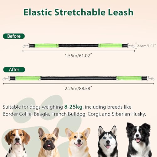 Euqvunn 3-in-1 Doppelte Gepolsterte Griffe Hundeleine – 1,6m bis 2,2m, Elastische Joggingleine Hunde Zubehör für Mittelgroße Hunde, Ideal für Laufen, Spazierengehen, Wandern & Reisen