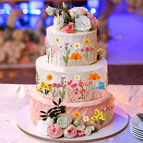 image for Nuanchu Pressed Flowers Resin Flowers for Resin Mold, Real Daisy Dried