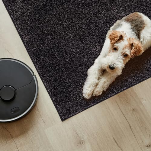 PURRUGS Easy Care Area Rug 4.5ft x 7ft, Non-Slip Washable Entryway Rug, Dog Door Mat, Stain Resistant Accent Rug for Hallway, Living Room, Bedroom and Mudroom, Charcoal