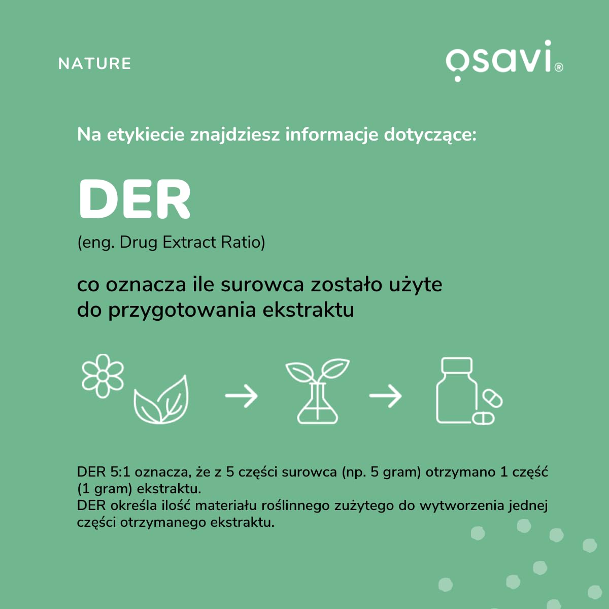 Osavi Chanca Piedra – 120 wegańskich kapsułek | Tradycyjna roślina | Ekstrakt z ziela chanca piedra | 500 mg ekstraktu w jednej kapsułce z 5000 mg Phyllanthus niruri | Clean Label | Dla Wegan