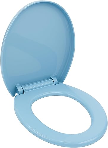 AIYI Premium High-Gloss Lacquered Toilet Seat Blue AY172-008