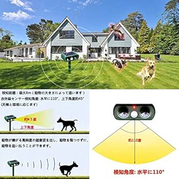 SP 野良猫姫親衛隊　psa10 mqdefault.jpg