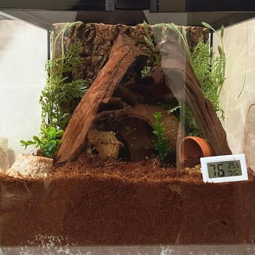 Image of BNOSDM 2PCS Reptile Soil Substrate,Fluffy Small-Strand Reptile Substrate,Natural Terrarium Bioactive Soil Bedding for Snakes, Lizards, Tortoises Tarantulas,Lizards